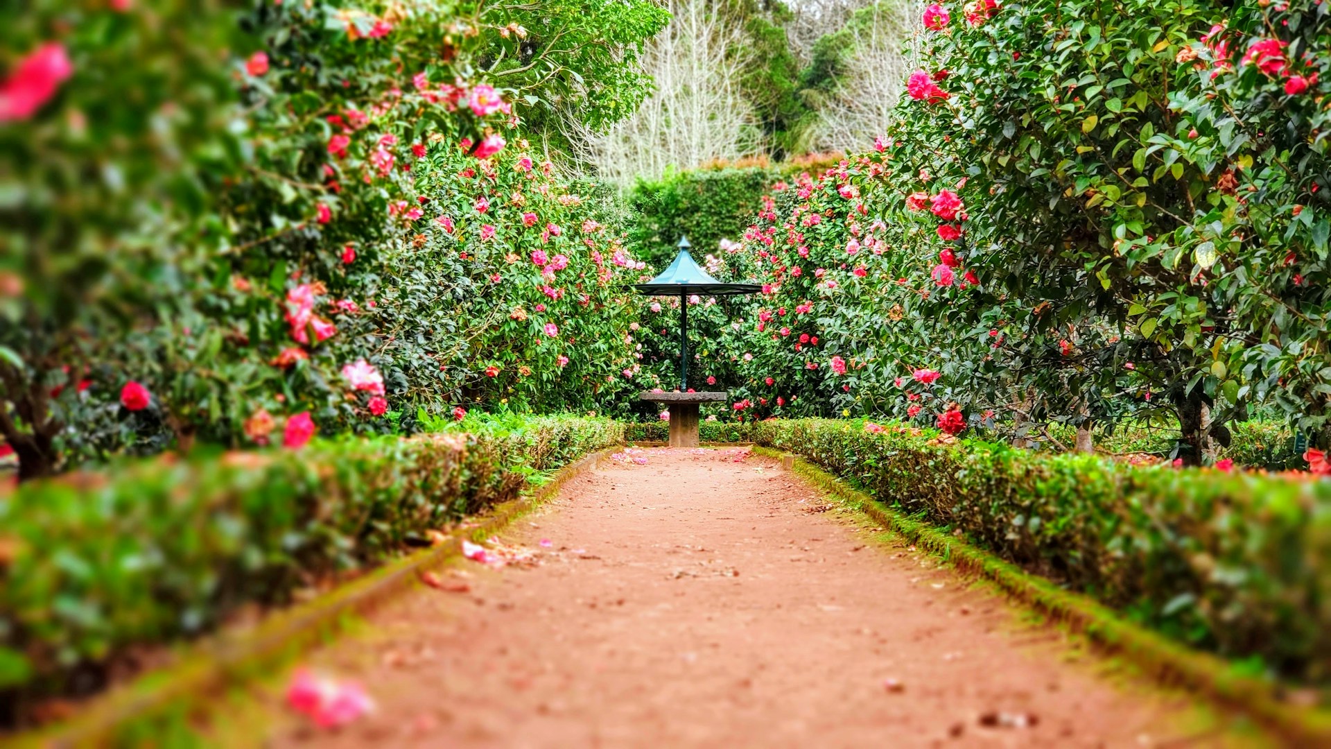 Professionell gestalteter Garten mit Naturstein-Terrasse